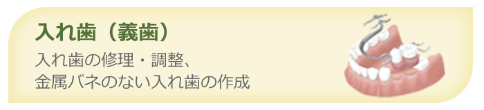 入れ歯 - 入れ歯の修理・調整・金属バネの無い入れ歯の作成