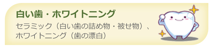 白い歯・ホワイトニング - セラミック（白い歯の詰め物・被せ物）・ホワイトニング