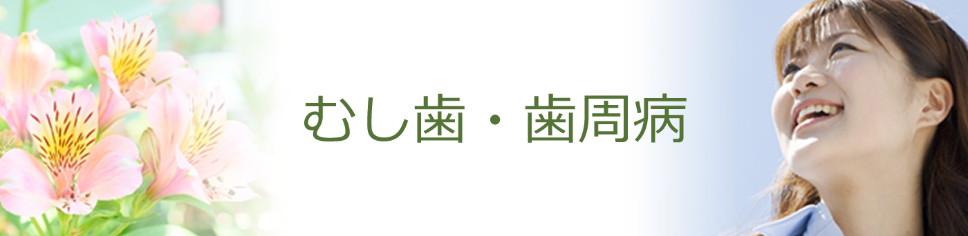 むし歯・歯周病